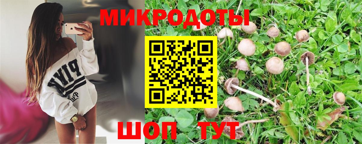 Галлюциногенные грибы Psilocybe  Вход с VPN  Щёлково 